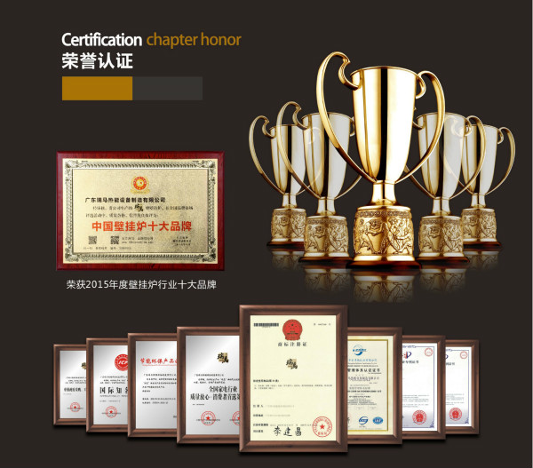 瑞馬燃氣壁掛爐,“代”您開創億萬富豪44